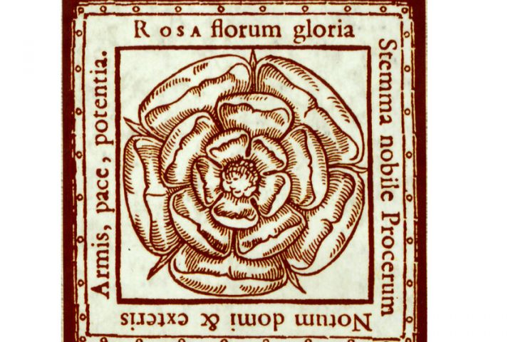 Tiskařská bohemika v knihovně posledních Rožmberků